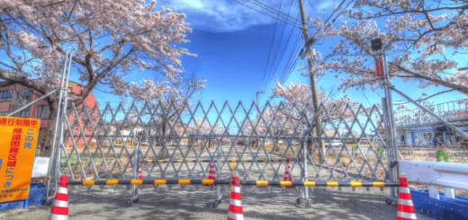 震災から3年…まぶしいほどに美しい福島の「今」