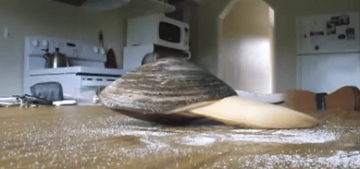 貝が塩をペロペロ舐める姿がキモかわいい