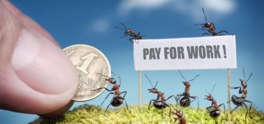 モデルはすべて生きたアリ！童話のような“アリの日常”