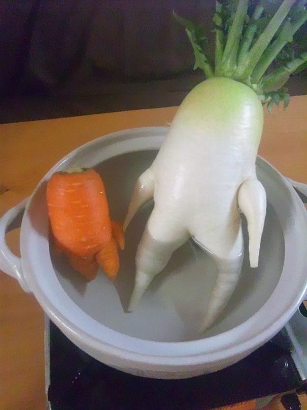 本当に野菜なの？思わず目を疑う変な形の野菜たち15選